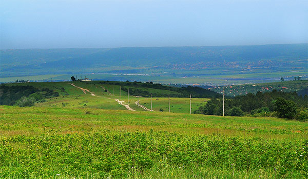 The Panorama The Panorama