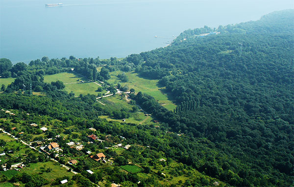 Marina Gardens Aerial View Marina Gardens Aerial View